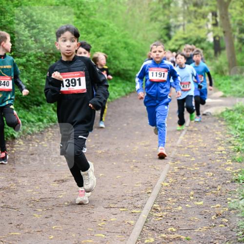 19.04.2026 - Hammer Lauf Dr. Thomas Lammeyer http://msf.ph/oto/9527090 19.04.2026 09:25:05 Laufen 840, 1391, 1191 meine-sportfotos.de
