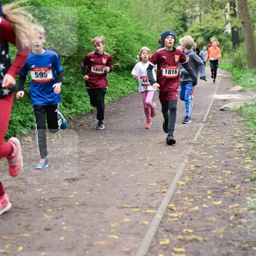 19.04.2026 - Hammer Lauf Dr. Thomas Lammeyer http://msf.ph/oto/9527149 19.04.2026 09:25:12 Laufen 1805, 595, 1816 meine-sportfotos.de