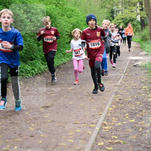 19.04.2026 - Hammer Lauf Dr. Thomas Lammeyer http://msf.ph/oto/9527152 19.04.2026 09:25:13 Laufen 1805, 447, 1816 meine-sportfotos.de