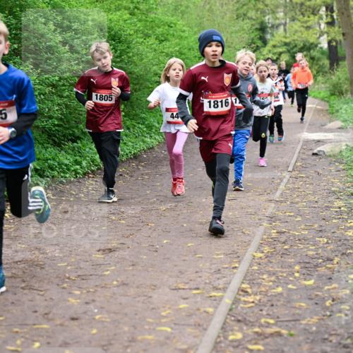 19.04.2026 - Hammer Lauf Dr. Thomas Lammeyer http://msf.ph/oto/9527156 19.04.2026 09:25:13 Laufen 595, 1805, 18161 meine-sportfotos.de