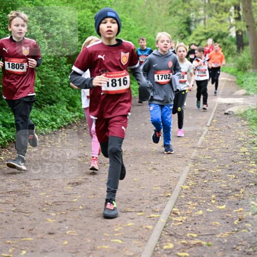 19.04.2026 - Hammer Lauf Dr. Thomas Lammeyer http://msf.ph/oto/9527166 19.04.2026 09:25:13 Laufen 1805, 1816, 1756, 1702 meine-sportfotos.de