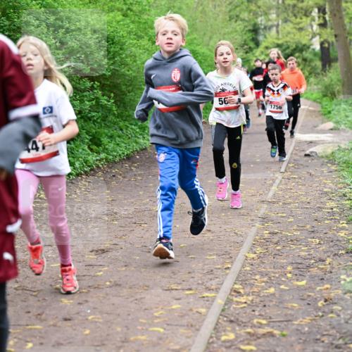 19.04.2026 - Hammer Lauf Dr. Thomas Lammeyer http://msf.ph/oto/9527172 19.04.2026 09:25:14 Laufen 1756, 1816, 447 meine-sportfotos.de