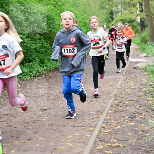 19.04.2026 - Hammer Lauf Dr. Thomas Lammeyer http://msf.ph/oto/9527173 19.04.2026 09:25:14 Laufen 447, 1702, 569, 1756 meine-sportfotos.de