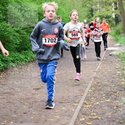 19.04.2026 - Hammer Lauf Dr. Thomas Lammeyer http://msf.ph/oto/9527182 19.04.2026 09:25:15 Laufen 447, 1702, 569, 1756 meine-sportfotos.de