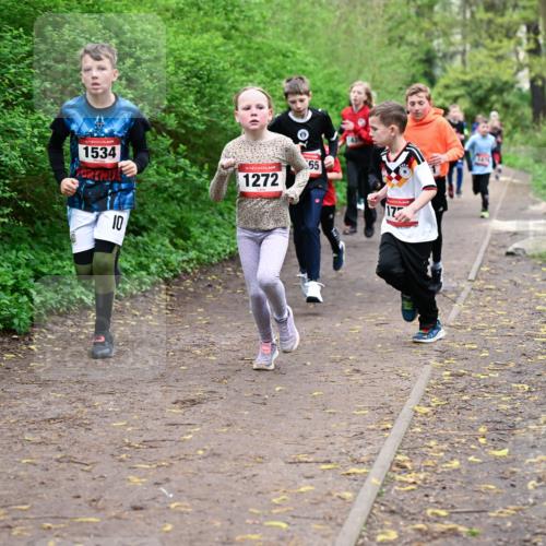 19.04.2026 - Hammer Lauf Dr. Thomas Lammeyer http://msf.ph/oto/9527191 19.04.2026 09:25:16 Laufen 1534, 1272 meine-sportfotos.de
