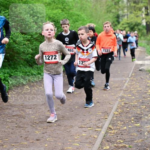 19.04.2026 - Hammer Lauf Dr. Thomas Lammeyer http://msf.ph/oto/9527197 19.04.2026 09:25:17 Laufen 334, 1272, 465, 1531 meine-sportfotos.de