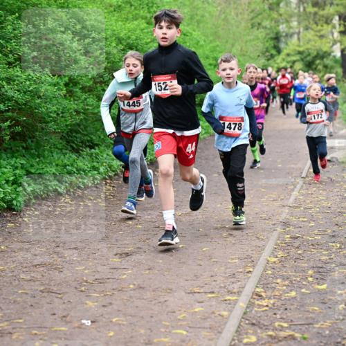 19.04.2026 - Hammer Lauf Dr. Thomas Lammeyer http://msf.ph/oto/9527236 19.04.2026 09:25:21 Laufen 051, 1445, 152, 1478, 172 meine-sportfotos.de