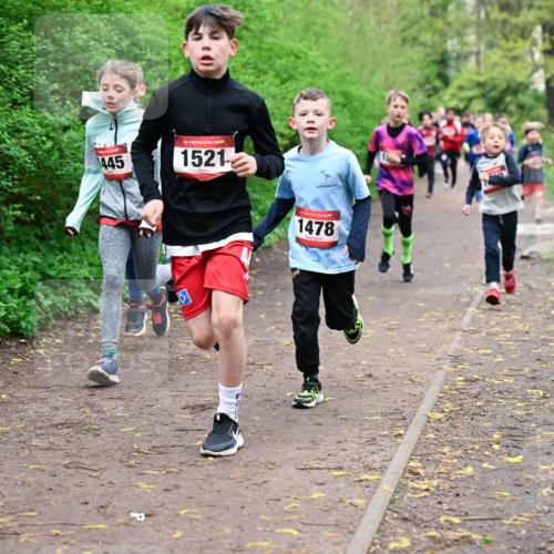 19.04.2026 - Hammer Lauf Dr. Thomas Lammeyer http://msf.ph/oto/9527240 19.04.2026 09:25:21 Laufen 445, 1521, 1478 meine-sportfotos.de