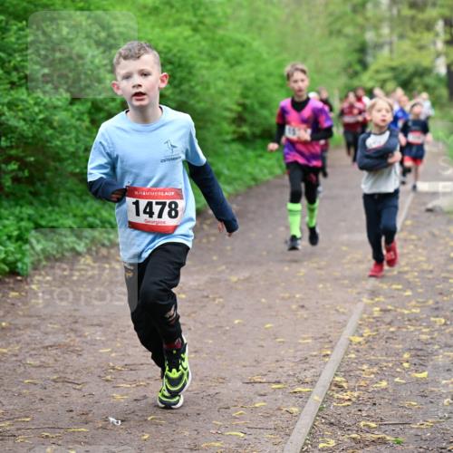 19.04.2026 - Hammer Lauf Dr. Thomas Lammeyer http://msf.ph/oto/9527248 19.04.2026 09:25:22 Laufen 1478 meine-sportfotos.de