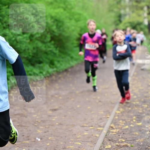 19.04.2026 - Hammer Lauf Dr. Thomas Lammeyer http://msf.ph/oto/9527253 19.04.2026 09:25:22 Laufen 1478 meine-sportfotos.de