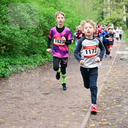 19.04.2026 - Hammer Lauf Dr. Thomas Lammeyer http://msf.ph/oto/9527261 19.04.2026 09:25:23 Laufen 1523, 1172 meine-sportfotos.de