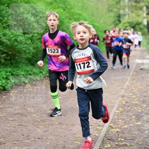 19.04.2026 - Hammer Lauf Dr. Thomas Lammeyer http://msf.ph/oto/9527264 19.04.2026 09:25:23 Laufen 1523, 1172 meine-sportfotos.de