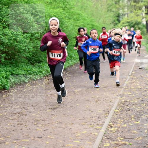19.04.2026 - Hammer Lauf Dr. Thomas Lammeyer http://msf.ph/oto/9527278 19.04.2026 09:25:25 Laufen 1178, 181, 1461, 1240 meine-sportfotos.de