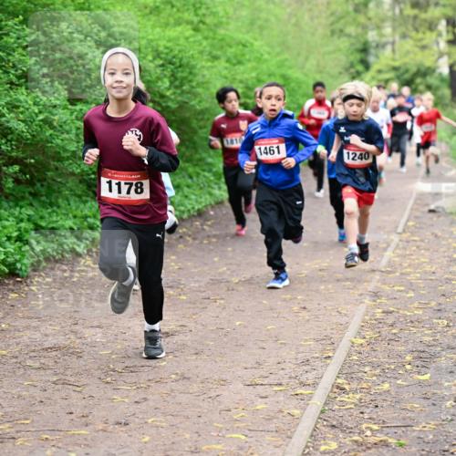 19.04.2026 - Hammer Lauf Dr. Thomas Lammeyer http://msf.ph/oto/9527286 19.04.2026 09:25:25 Laufen 1178, 1810, 1461, 1240 meine-sportfotos.de