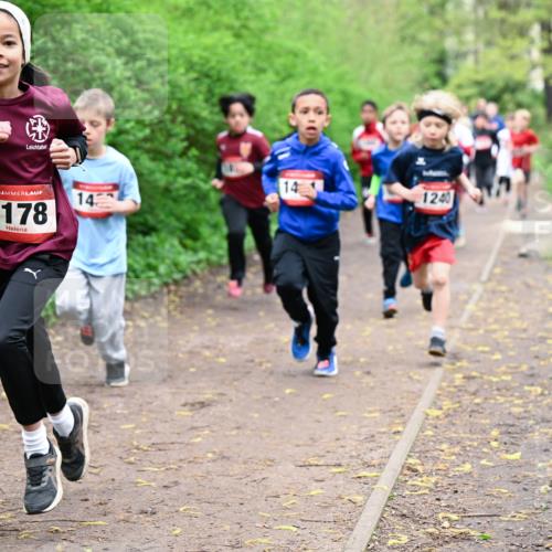 19.04.2026 - Hammer Lauf Dr. Thomas Lammeyer http://msf.ph/oto/9527289 19.04.2026 09:25:26 Laufen 1178, 1240 meine-sportfotos.de