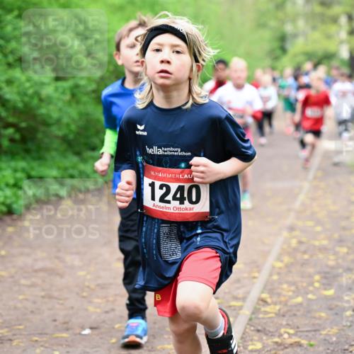 19.04.2026 - Hammer Lauf Dr. Thomas Lammeyer http://msf.ph/oto/9527302 19.04.2026 09:25:28 Laufen 1240 meine-sportfotos.de