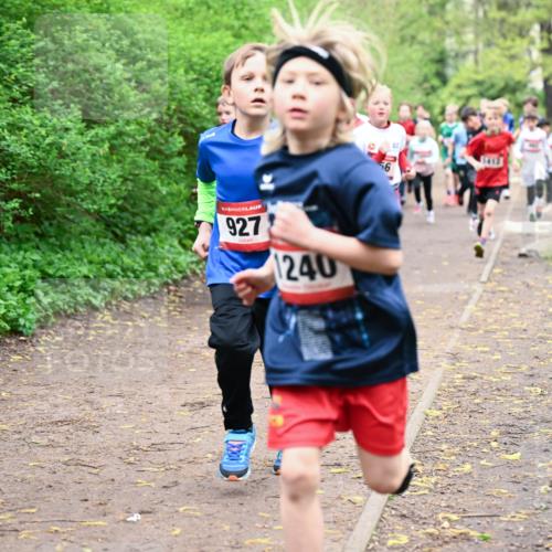 19.04.2026 - Hammer Lauf Dr. Thomas Lammeyer http://msf.ph/oto/9527305 19.04.2026 09:25:28 Laufen 927, 240 meine-sportfotos.de