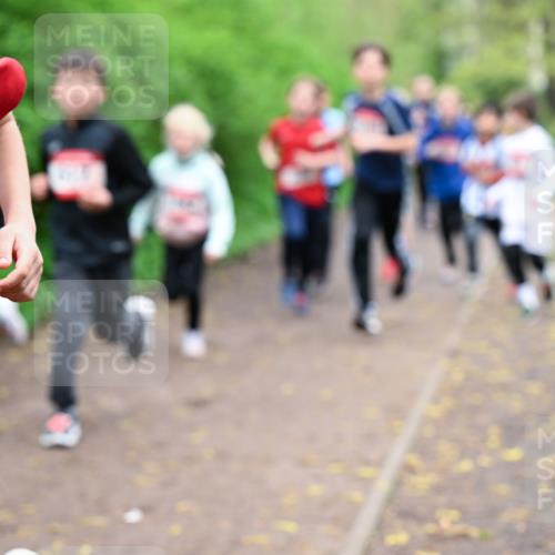19.04.2026 - Hammer Lauf Dr. Thomas Lammeyer http://msf.ph/oto/9527340 19.04.2026 09:25:31 Laufen  meine-sportfotos.de