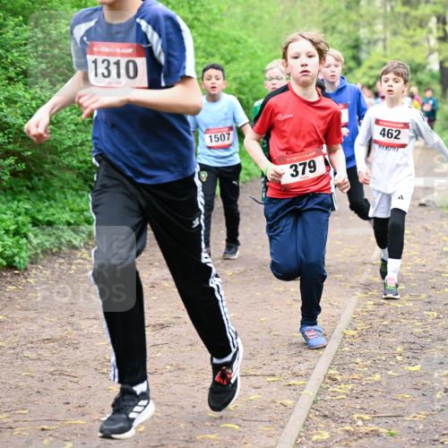 19.04.2026 - Hammer Lauf Dr. Thomas Lammeyer http://msf.ph/oto/9527342 19.04.2026 09:25:33 Laufen 1310, 1507, 379, 462 meine-sportfotos.de