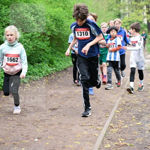 19.04.2026 - Hammer Lauf Dr. Thomas Lammeyer http://msf.ph/oto/9527346 19.04.2026 09:25:32 Laufen 1662, 1310, 462 meine-sportfotos.de
