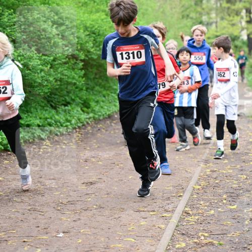 19.04.2026 - Hammer Lauf Dr. Thomas Lammeyer http://msf.ph/oto/9527348 19.04.2026 09:25:32 Laufen 1662, 1310, 550, 462 meine-sportfotos.de