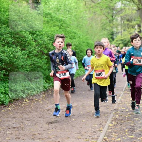 19.04.2026 - Hammer Lauf Dr. Thomas Lammeyer http://msf.ph/oto/9527397 19.04.2026 09:25:40 Laufen 586, 900 meine-sportfotos.de