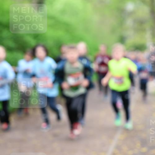 19.04.2026 - Hammer Lauf Dr. Thomas Lammeyer http://msf.ph/oto/9527416 19.04.2026 09:25:42 Laufen  meine-sportfotos.de