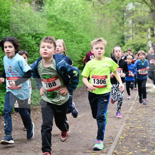 19.04.2026 - Hammer Lauf Dr. Thomas Lammeyer http://msf.ph/oto/9527420 19.04.2026 09:25:43 Laufen 788, 1306, 1222 meine-sportfotos.de