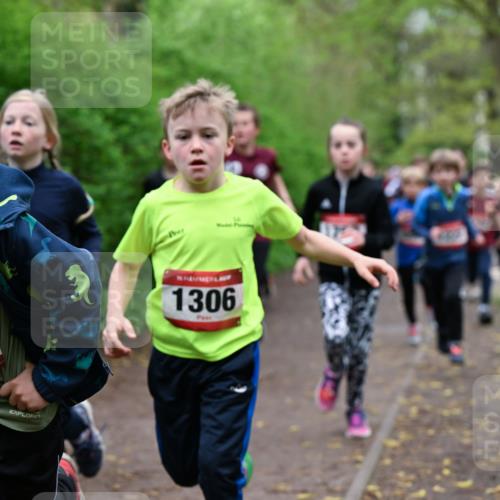 19.04.2026 - Hammer Lauf Dr. Thomas Lammeyer http://msf.ph/oto/9527427 19.04.2026 09:25:43 Laufen 788, 1306 meine-sportfotos.de