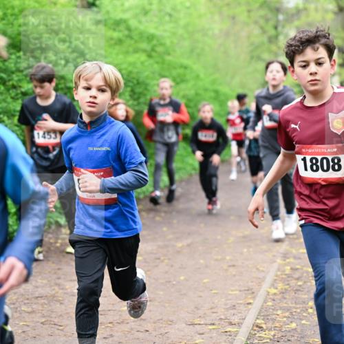 19.04.2026 - Hammer Lauf Dr. Thomas Lammeyer http://msf.ph/oto/9527442 19.04.2026 09:25:45 Laufen 1222, 1453, 1808 meine-sportfotos.de