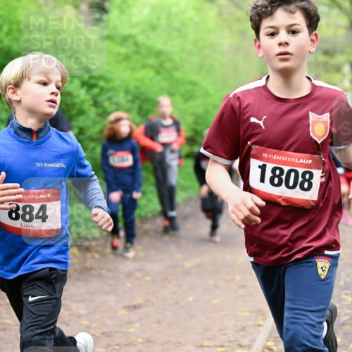 19.04.2026 - Hammer Lauf Dr. Thomas Lammeyer http://msf.ph/oto/9527445 19.04.2026 09:25:46 Laufen 884, 1808 meine-sportfotos.de