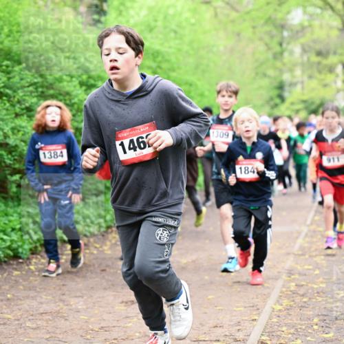 19.04.2026 - Hammer Lauf Dr. Thomas Lammeyer http://msf.ph/oto/9527459 19.04.2026 09:25:47 Laufen 1453, 1384, 1462, 1309, 184, 911 meine-sportfotos.de
