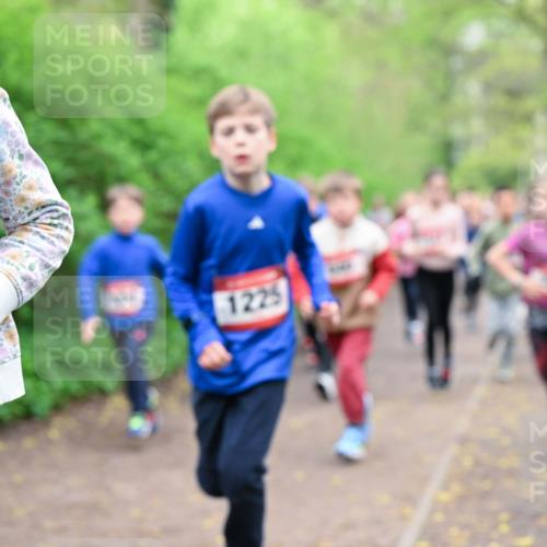 19.04.2026 - Hammer Lauf Dr. Thomas Lammeyer http://msf.ph/oto/9527498 19.04.2026 09:25:53 Laufen 1225 meine-sportfotos.de