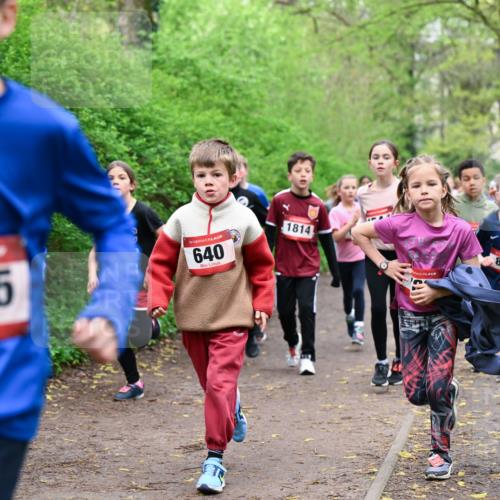19.04.2026 - Hammer Lauf Dr. Thomas Lammeyer http://msf.ph/oto/9527501 19.04.2026 09:25:54 Laufen 1225, 640, 1814, 887 meine-sportfotos.de