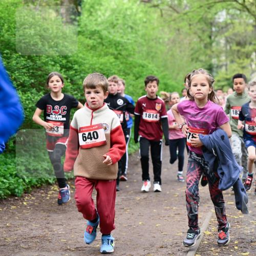 19.04.2026 - Hammer Lauf Dr. Thomas Lammeyer http://msf.ph/oto/9527502 19.04.2026 09:25:54 Laufen 640, 1814, 183, 887 meine-sportfotos.de