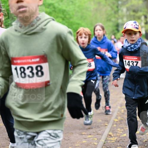 19.04.2026 - Hammer Lauf Dr. Thomas Lammeyer http://msf.ph/oto/9527525 19.04.2026 09:25:56 Laufen 1864, 1838, 1437 meine-sportfotos.de