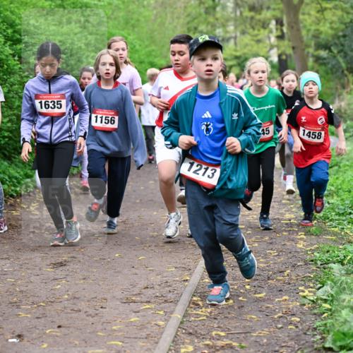 19.04.2026 - Hammer Lauf Dr. Thomas Lammeyer http://msf.ph/oto/9527542 19.04.2026 09:25:59 Laufen 1450, 1635, 1156, 1213, 1458 meine-sportfotos.de