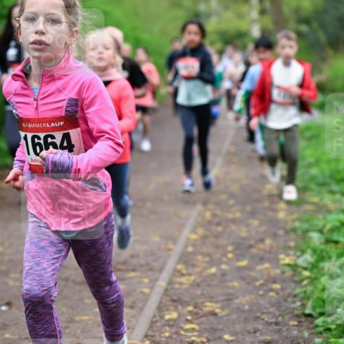 19.04.2026 - Hammer Lauf Dr. Thomas Lammeyer http://msf.ph/oto/9527568 19.04.2026 09:26:03 Laufen 1664 meine-sportfotos.de
