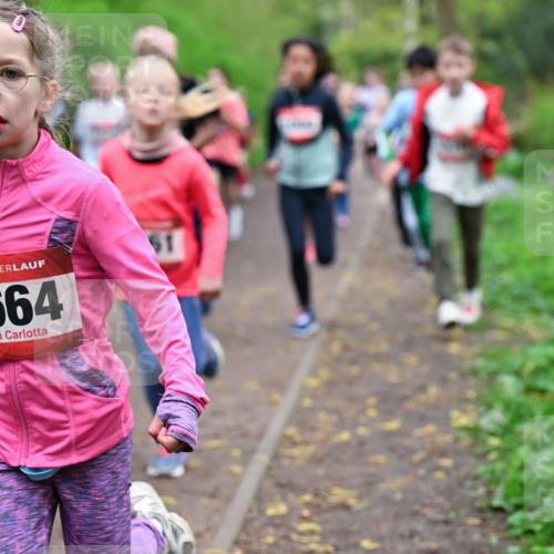 19.04.2026 - Hammer Lauf Dr. Thomas Lammeyer http://msf.ph/oto/9527569 19.04.2026 09:26:03 Laufen 1664 meine-sportfotos.de