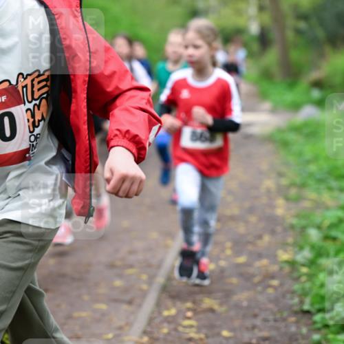 19.04.2026 - Hammer Lauf Dr. Thomas Lammeyer http://msf.ph/oto/9527587 19.04.2026 09:26:05 Laufen 1370, 569 meine-sportfotos.de