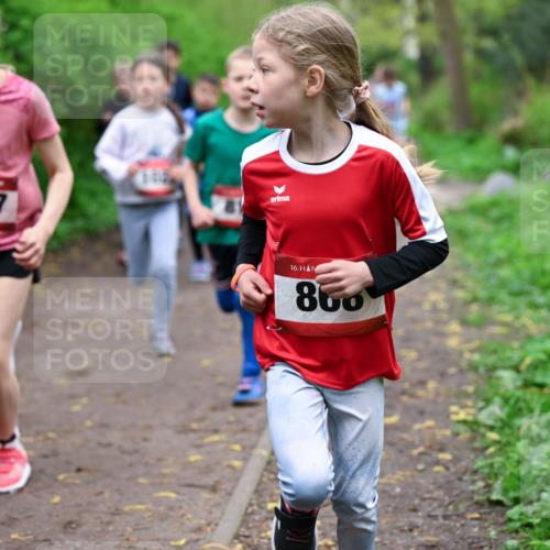 19.04.2026 - Hammer Lauf Dr. Thomas Lammeyer http://msf.ph/oto/9527590 19.04.2026 09:26:05 Laufen 1557, 860 meine-sportfotos.de