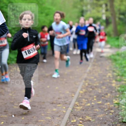 19.04.2026 - Hammer Lauf Dr. Thomas Lammeyer http://msf.ph/oto/9527596 19.04.2026 09:26:09 Laufen 619, 1855 meine-sportfotos.de
