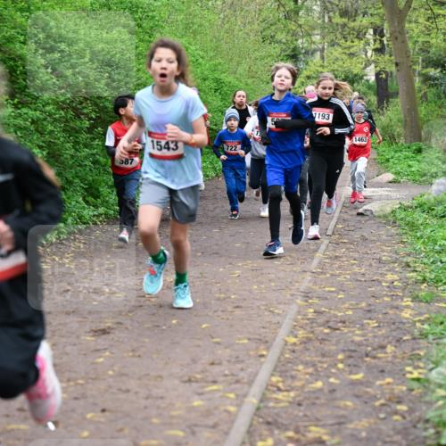 19.04.2026 - Hammer Lauf Dr. Thomas Lammeyer http://msf.ph/oto/9527604 19.04.2026 09:26:10 Laufen 1855, 1543, 722, 587, 1193, 1463 meine-sportfotos.de