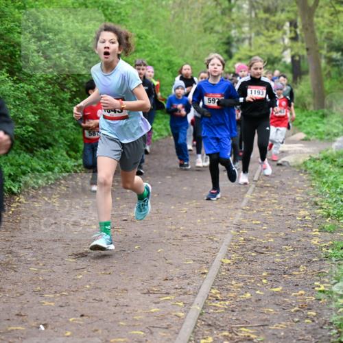 19.04.2026 - Hammer Lauf Dr. Thomas Lammeyer http://msf.ph/oto/9527605 19.04.2026 09:26:10 Laufen 1855, 587, 597, 1193 meine-sportfotos.de