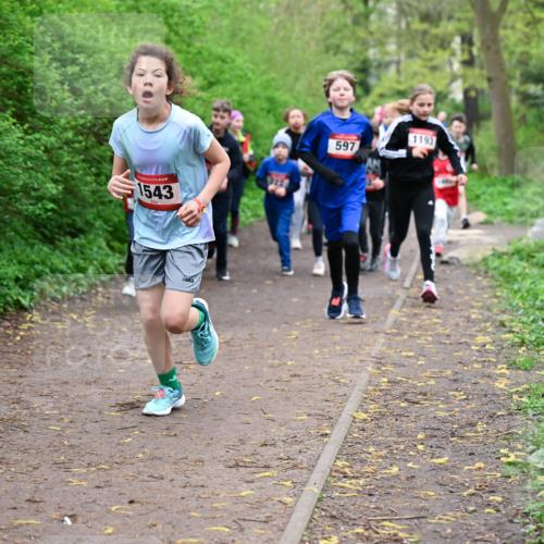 19.04.2026 - Hammer Lauf Dr. Thomas Lammeyer http://msf.ph/oto/9527607 19.04.2026 09:26:10 Laufen 355, 1543, 597, 1193 meine-sportfotos.de