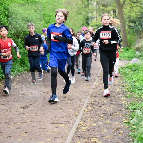 19.04.2026 - Hammer Lauf Dr. Thomas Lammeyer http://msf.ph/oto/9527617 19.04.2026 09:26:11 Laufen 1518, 587, 421, 1193 meine-sportfotos.de