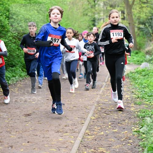 19.04.2026 - Hammer Lauf Dr. Thomas Lammeyer http://msf.ph/oto/9527621 19.04.2026 09:26:11 Laufen 587, 1518, 597, 1193 meine-sportfotos.de