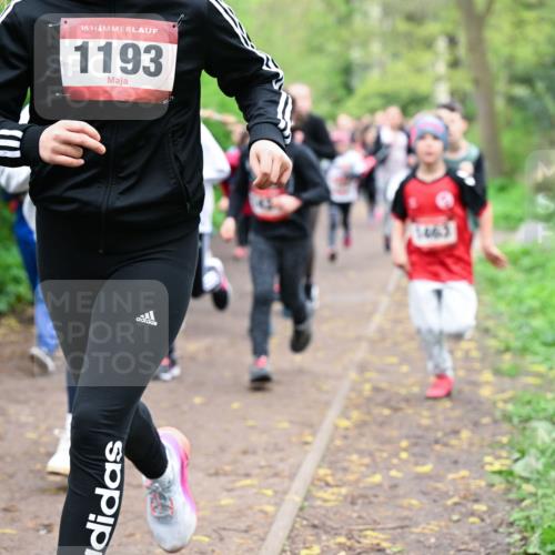19.04.2026 - Hammer Lauf Dr. Thomas Lammeyer http://msf.ph/oto/9527637 19.04.2026 09:26:13 Laufen 1518, 1193, 1463 meine-sportfotos.de