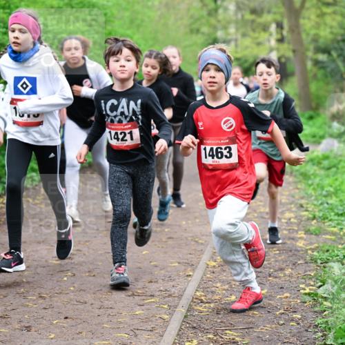 19.04.2026 - Hammer Lauf Dr. Thomas Lammeyer http://msf.ph/oto/9527639 19.04.2026 09:26:13 Laufen 367, 1421, 1463 meine-sportfotos.de