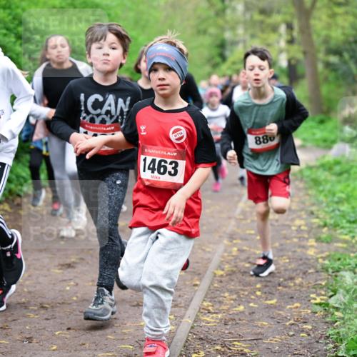 19.04.2026 - Hammer Lauf Dr. Thomas Lammeyer http://msf.ph/oto/9527642 19.04.2026 09:26:14 Laufen 1615, 1463, 880 meine-sportfotos.de